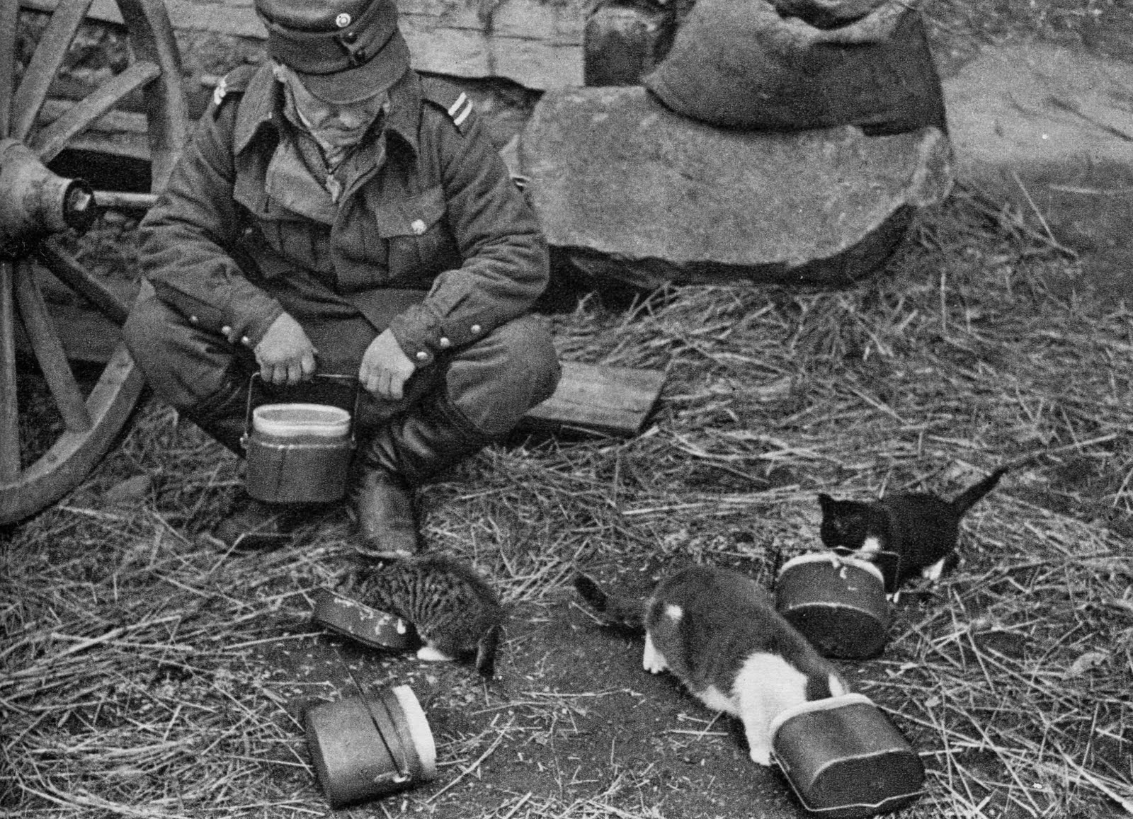 Finnish+Soldier+and+Kittens+WWII.jpg