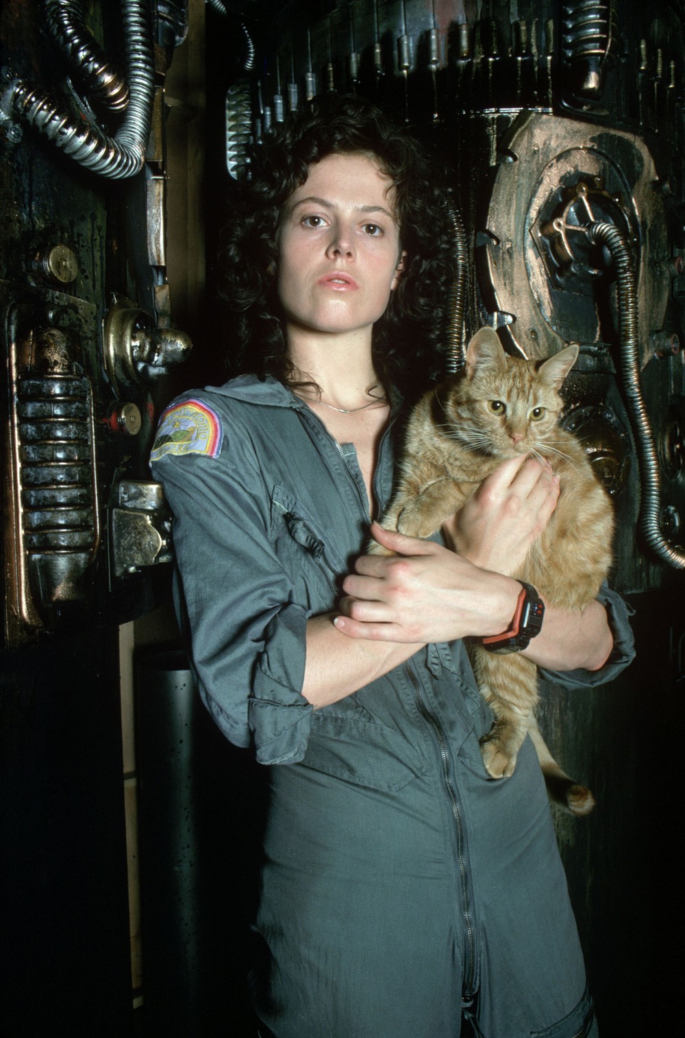 http://4.bp.blogspot.com/-NvSlFXq9Quw/TjFCZZY_q2I/AAAAAAAADHA/N3FkQrZtet8/s1600/alien-sigourney-weaver-ripley-jones.jpg