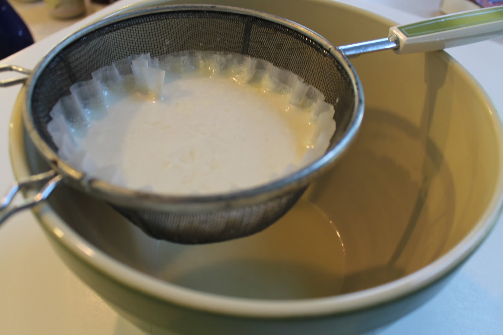 Seeking EcoChic Homemade Greek Yogurt