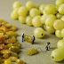 Tiny People’s Adventures In The World of Food