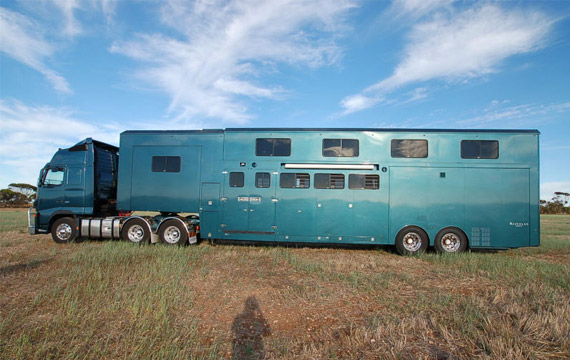 The Circus &quot;NO SPIN ZONE&quot; CustomMade Traveling Equine
