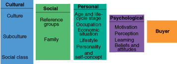 culture influences and behavior essay culture influences and behavior essay