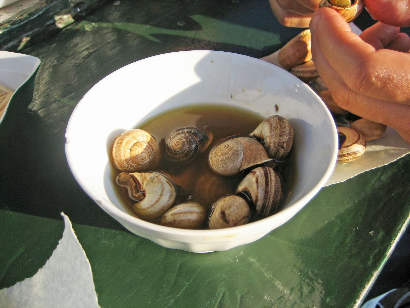 Lentil Breakdown 10 Things I Ate in Morocco