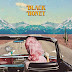 Polecanki: Black Honey - Spinning Wheel