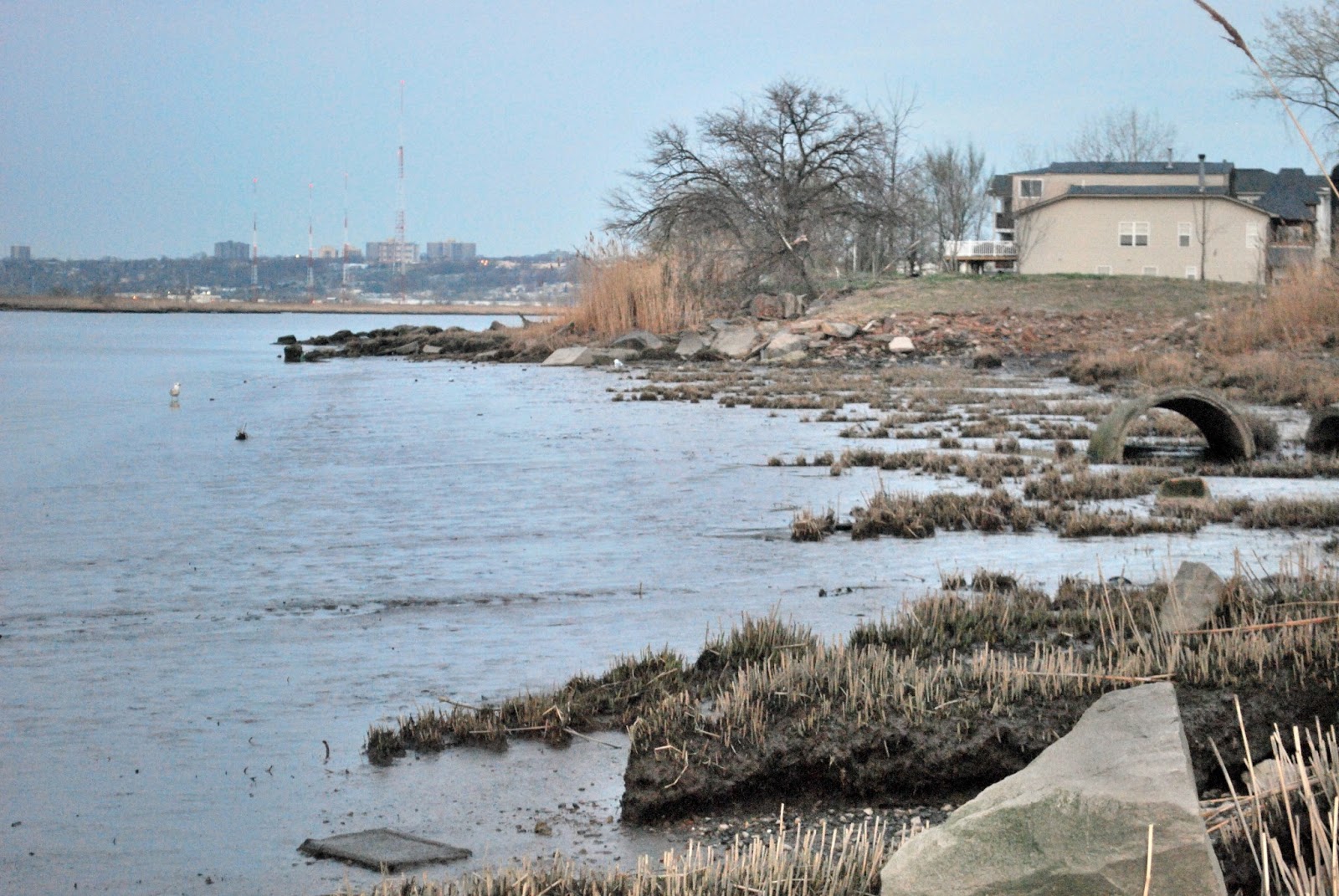 Litton's Fishing Lines No Fishing at DeKorte Park/Tried for Stripers