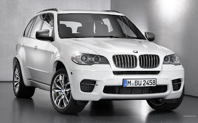 BMW X6 M Package 2013 Fondos de Carros BMW