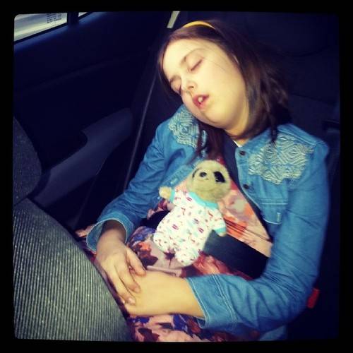 Silent Sunday: Fast Asleep In The Car