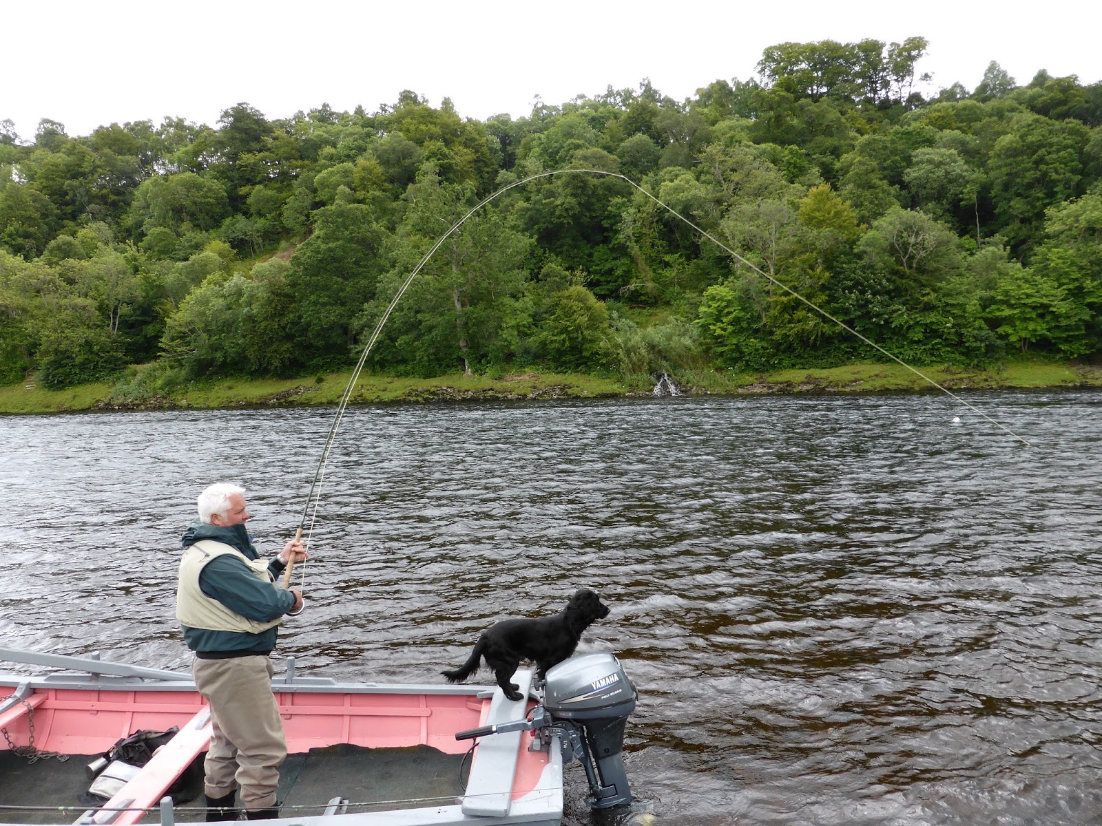 Salmon Fishing Scotland. Salmon Fishing Scotland Summer Salmon Fly