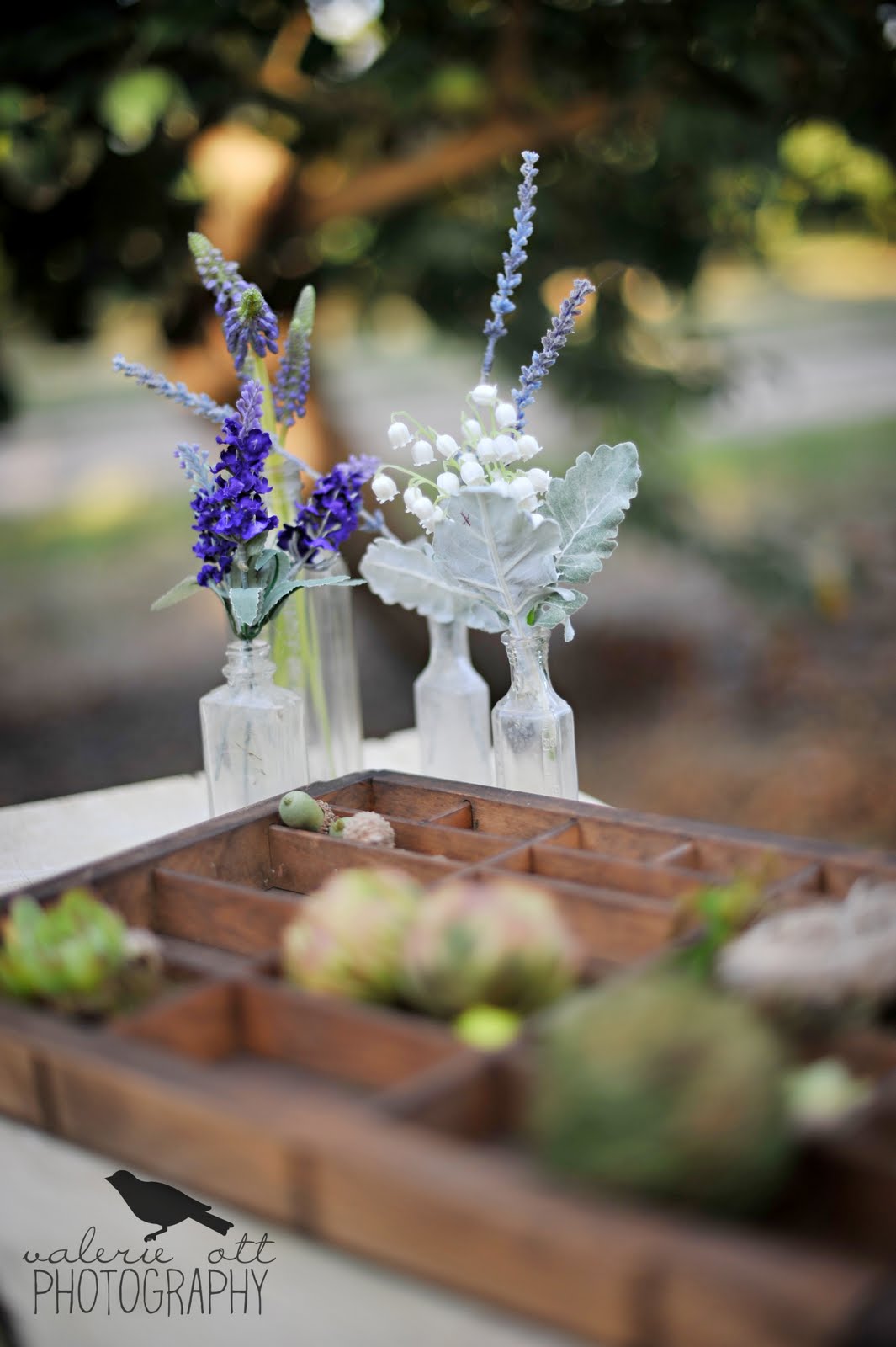 Props for photo shoot