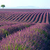Windows 7 Wallpaper Landscapes