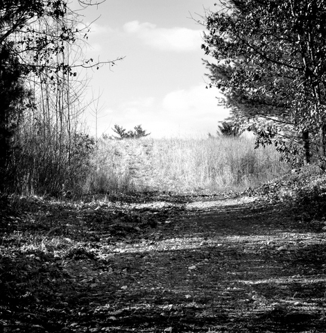 sequence photographers