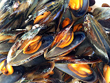 Mejillones al vapor