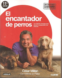 El encantador de perros