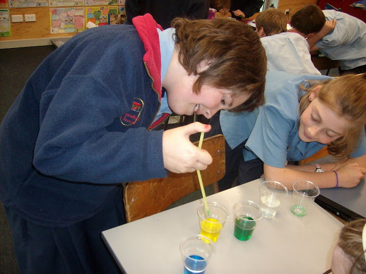 Traffic Light Straws Science