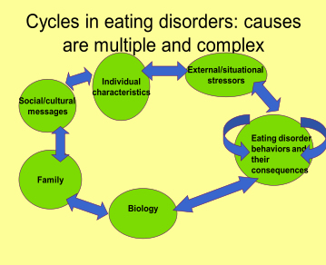 what causes eating disorders There are many misconceptions in our society about what causes eating disorders you also can’t tell whether a person has an eating disorder just by looking at. what causes eating disorders There are many misconceptions in our society about what causes eating disorders you also can’t tell whether a person has an eating disorder just by looking at.