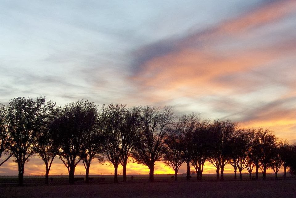 Felix Road Sunset