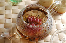 Herb tea with carnation