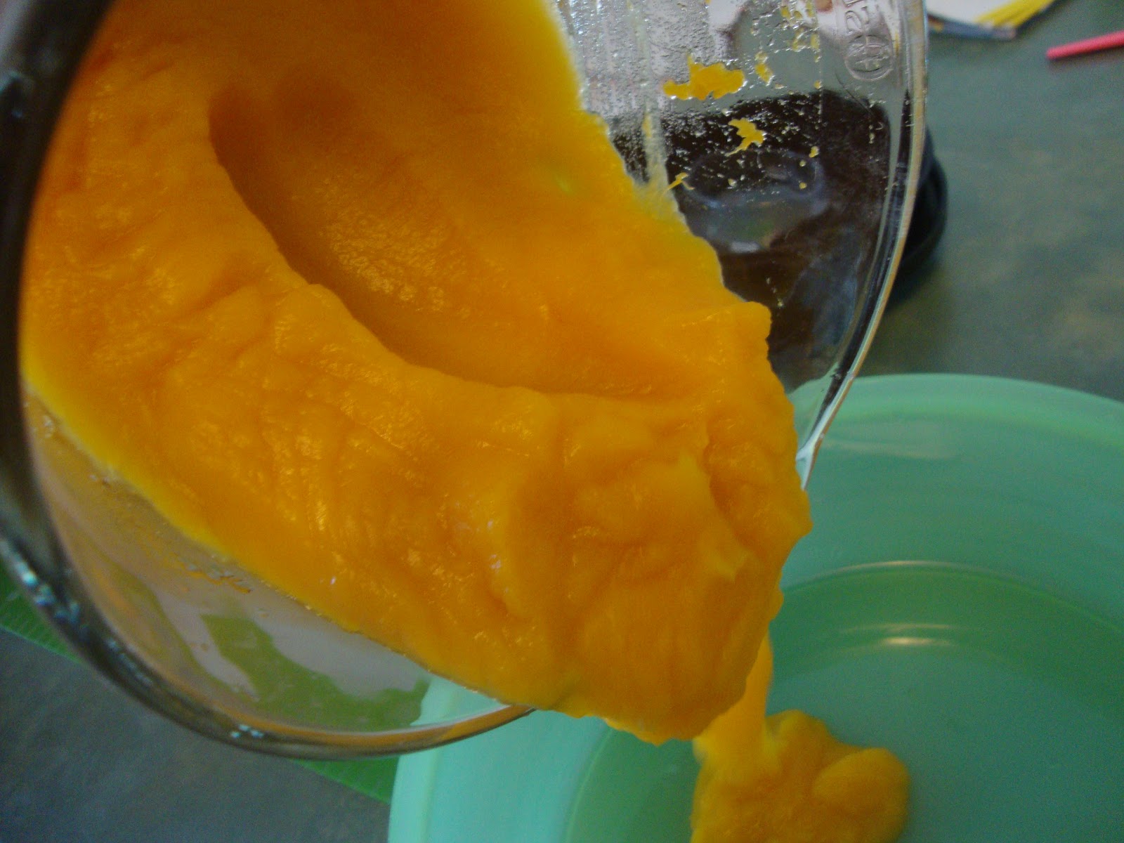 A Busy Mom's Slow Cooker Adventures Using Your Slow Cooker to Make