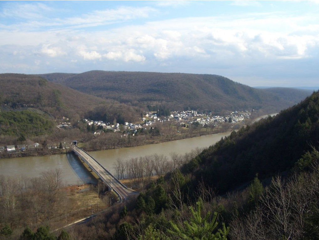 The Elephant Bar How Are Things Going in Shickshinny?