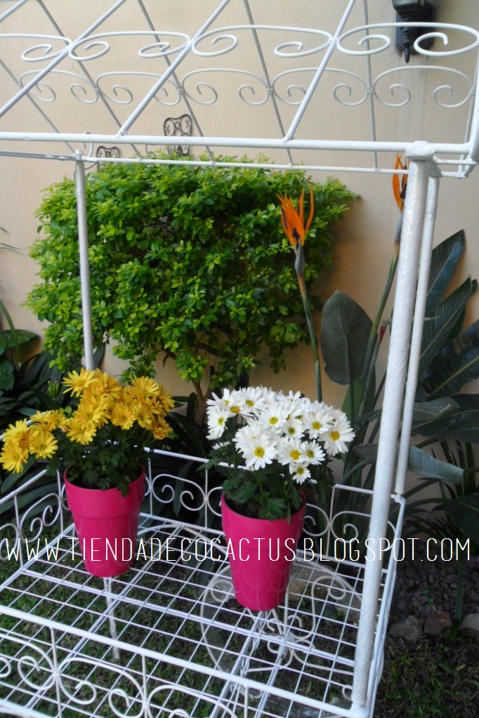 Carretilla: Tienda Deco C