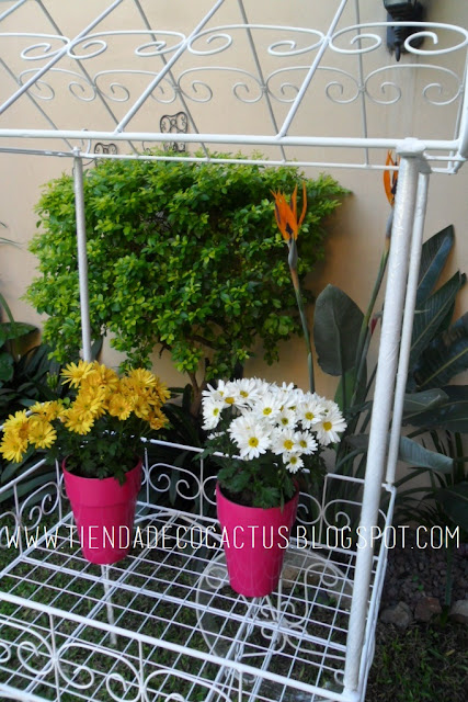 Carretilla: Tienda Deco C