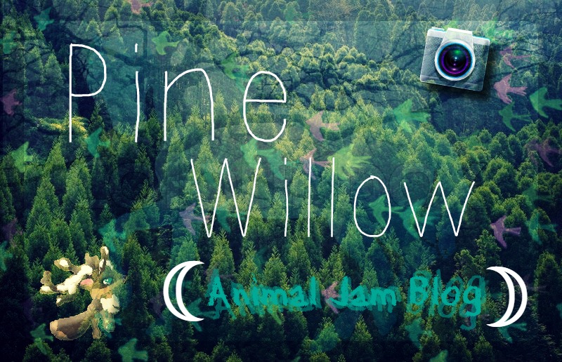 Pine Willøw 