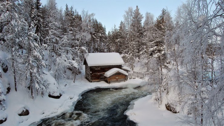 Go Skiing in Oulanka National Park in Finland Go Skiing in Oulanka National Park in Finland