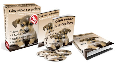 Como educar a tu cachorro