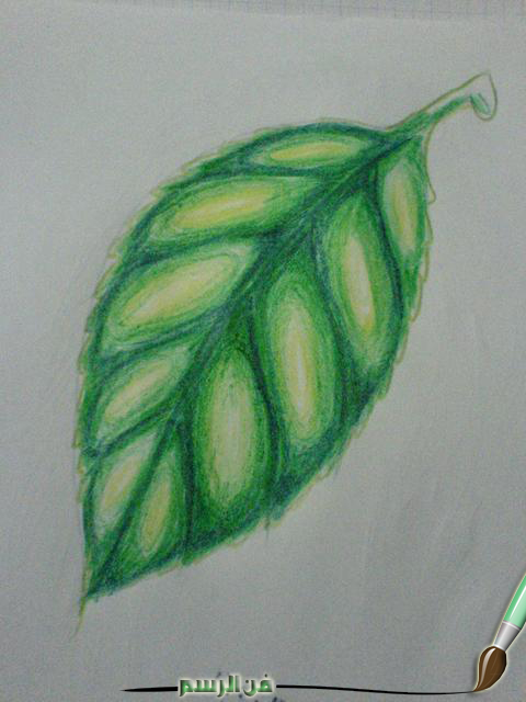 فنون تعلم رسم ورقة شجرة بطريقة مبتكرة و بسيطة بالصور