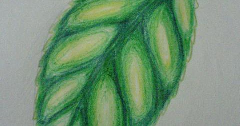 فنون تعلم رسم ورقة شجرة بطريقة مبتكرة و بسيطة بالصور