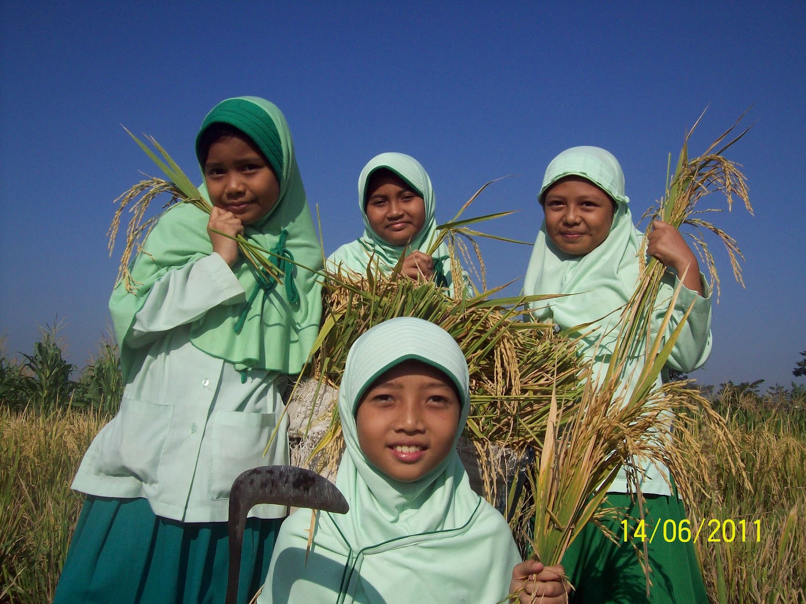 LOWONGAN GURU SDIT HIDAYAH KLATEN | SDIT BINAUL UMMAH KARANGPANDAN