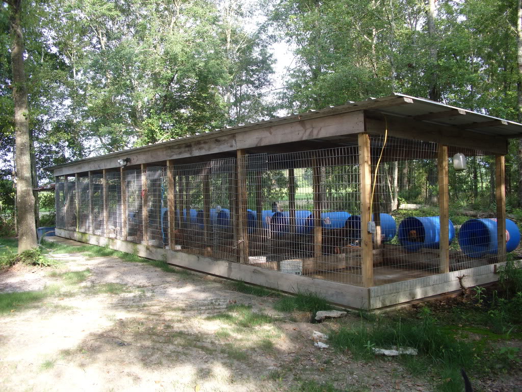 The Real APBT Dog Kennel Setups and Designs