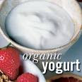 yogurt