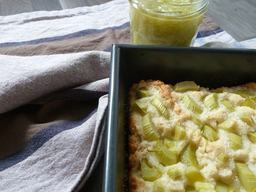 binedoro Blog ⎮ Aus meiner Küche ⎮ Rhabarber-Kuchen mit Quark-Öl-Teig
