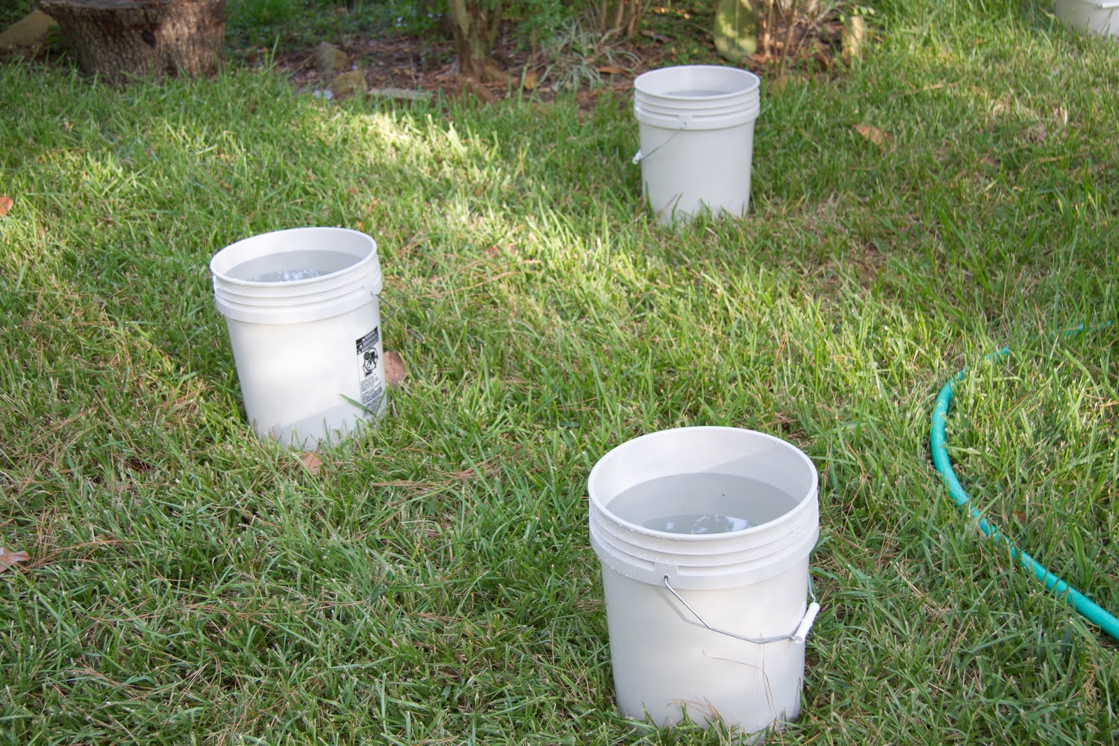 The Woodlands Texas Trees Watering Trees in The Woodlands, especially