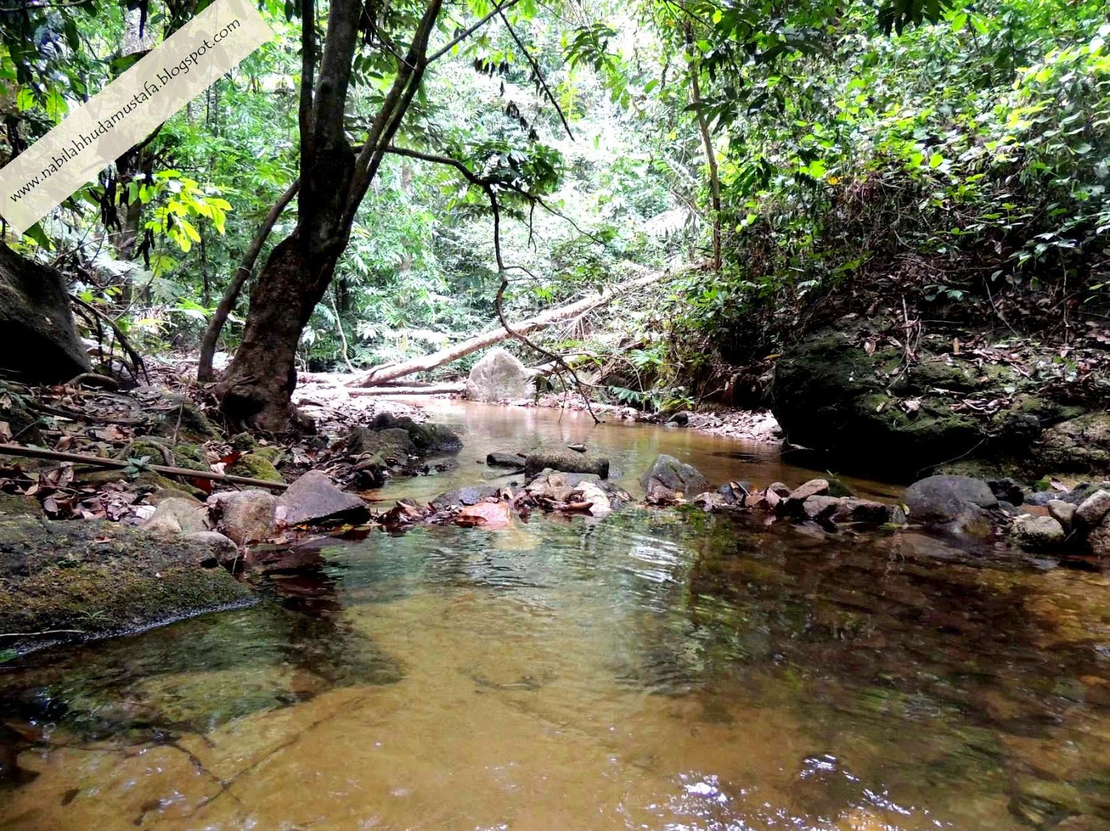 SUNGAI SOFIA JANE KEMENSAH SUNGAI SOFEA JANE KEMENSAH