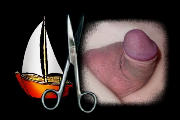 Penis beschnittener Beschnittener Penis