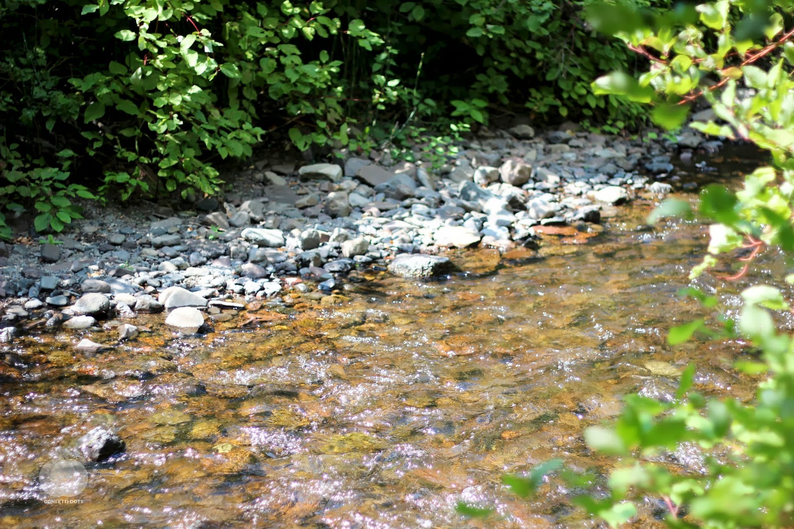 Hiking | Confetti Dots Blog. All Rights Reserved. Hiking | Confetti Dots Blog. All Rights Reserved.