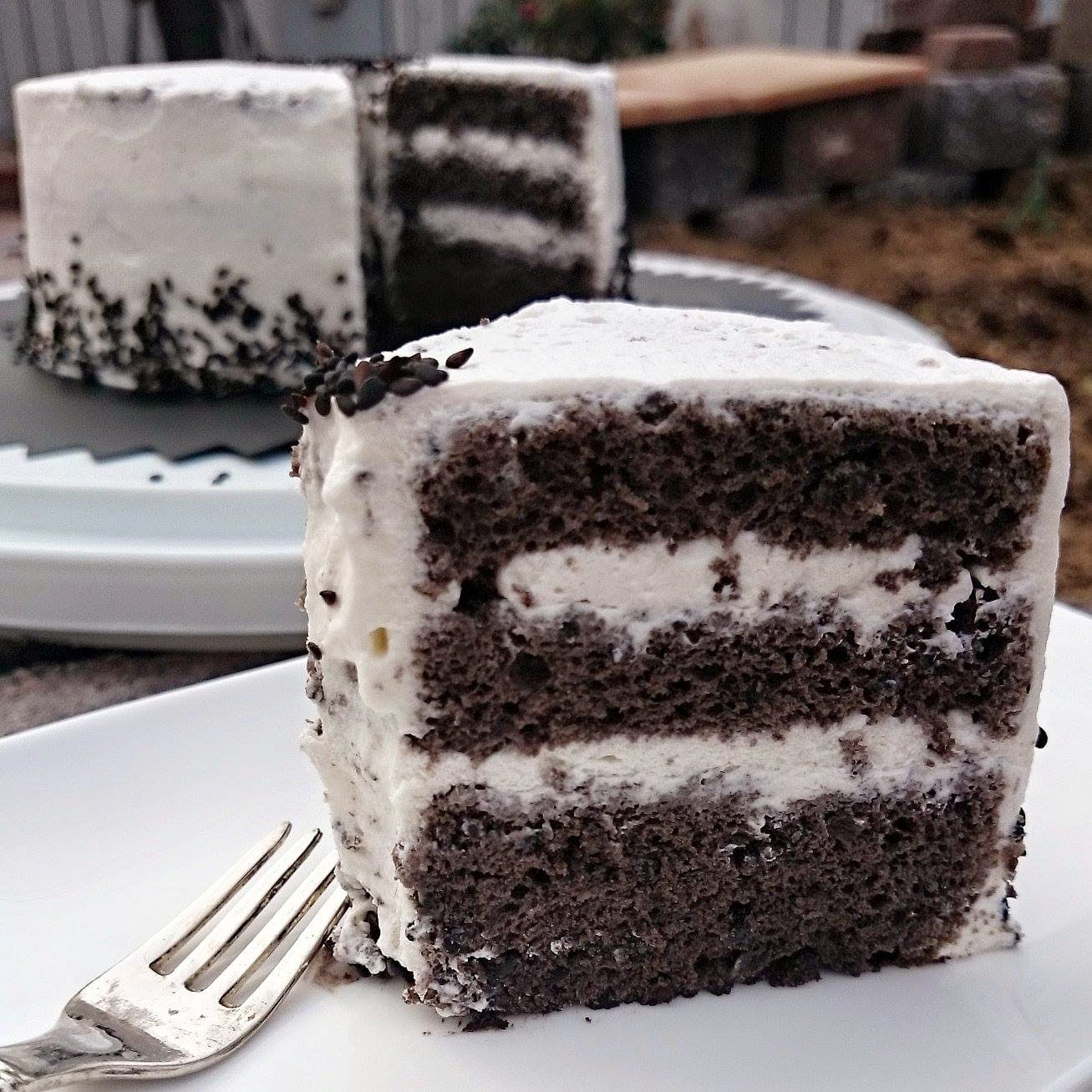 DAILY DOSES OF SUGAR Black Sesame Cake with Honey Cream