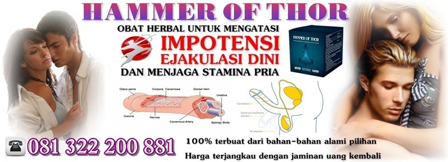 Jual Obat Hammer Of Thor Asli Di Medan 081322200881
