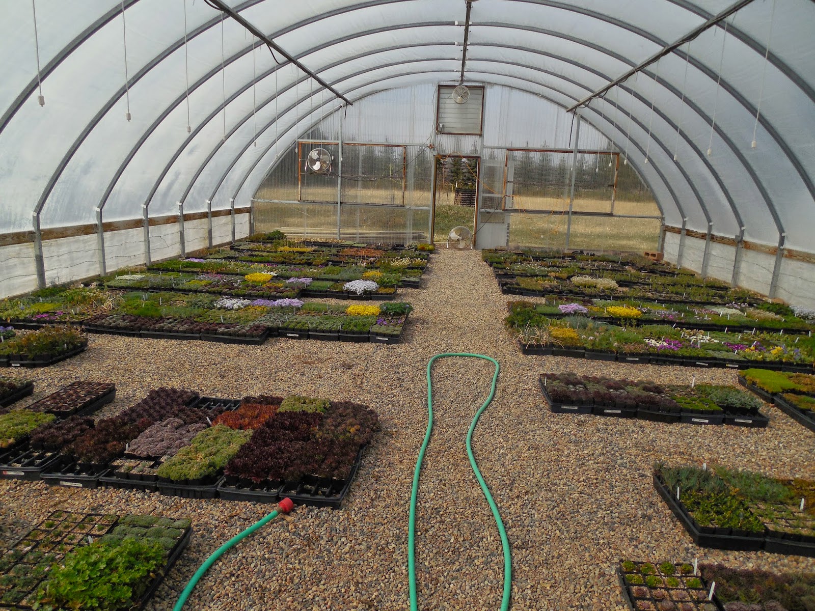 Prairiebreak Paradise regained! Laporte Avenue Nursery Redux