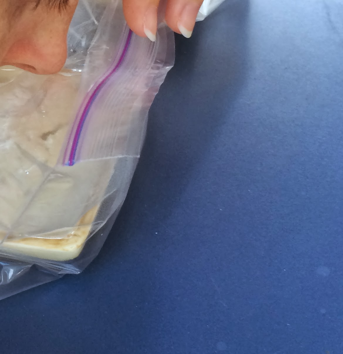 Spasms of Plastic Permeability Experiment the iScience Way