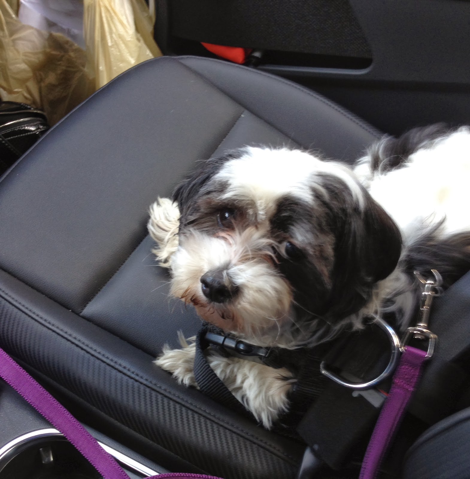 There's No Place Like Home Edgar!