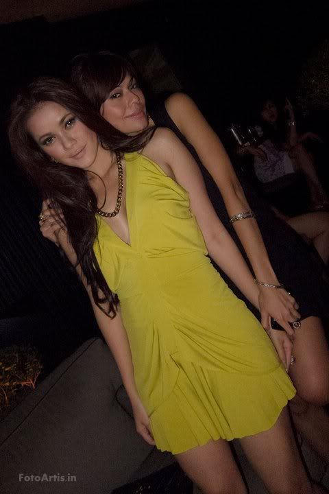 Opinion, you Bahan coli tante jilbob All above Bahan coli tante jilbob you the