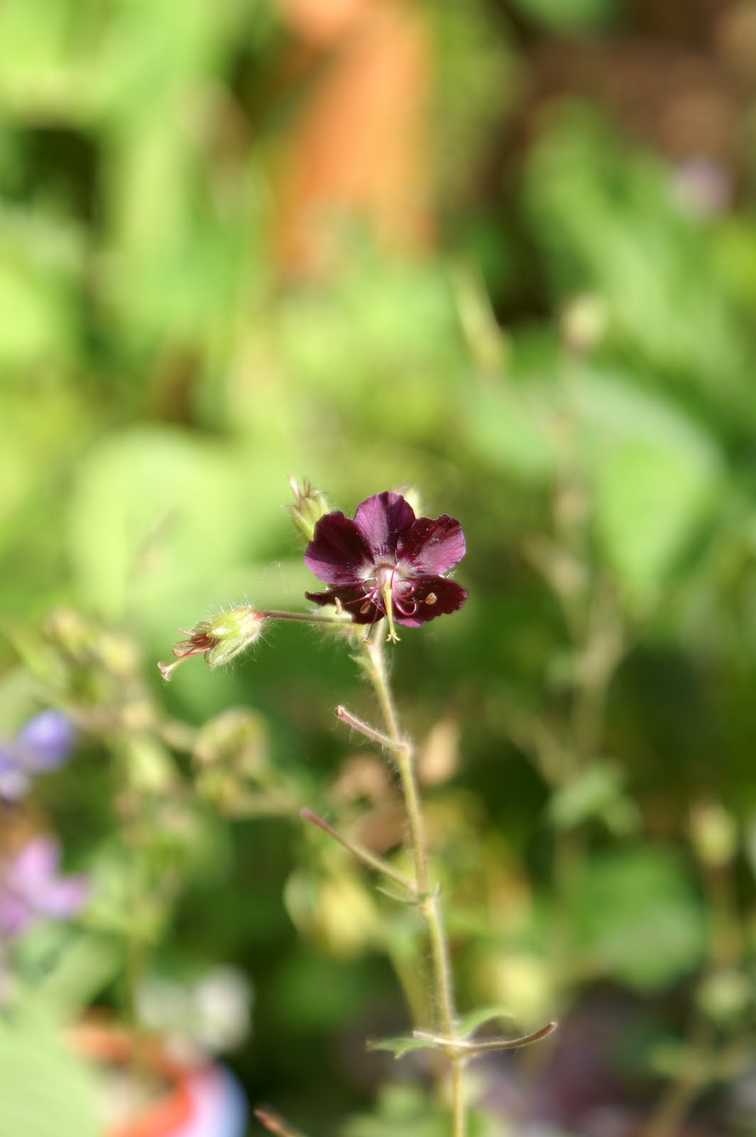 Doğayı Keşfederken Haziran 2012