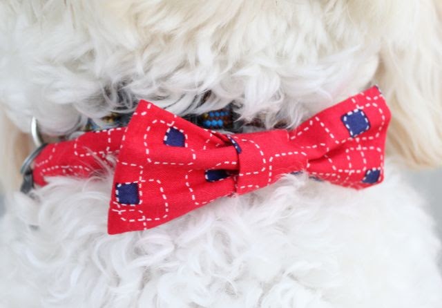 doggie bowties