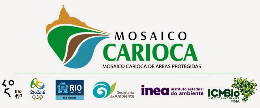 Mosaico Carioca