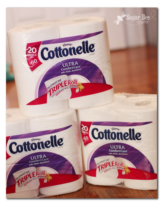 Toilet Paper Roll Game Mummy Game Ideas