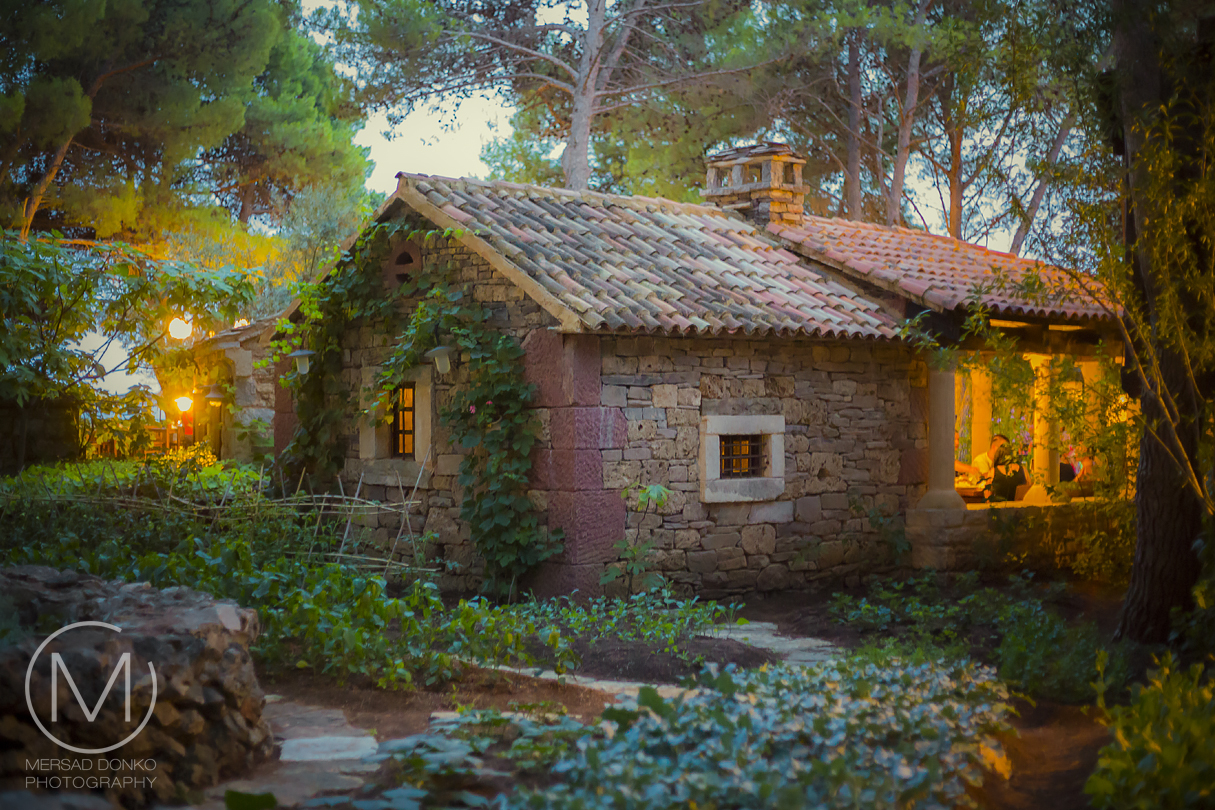 The Village in the Pine Woods Mersad Donko Photography