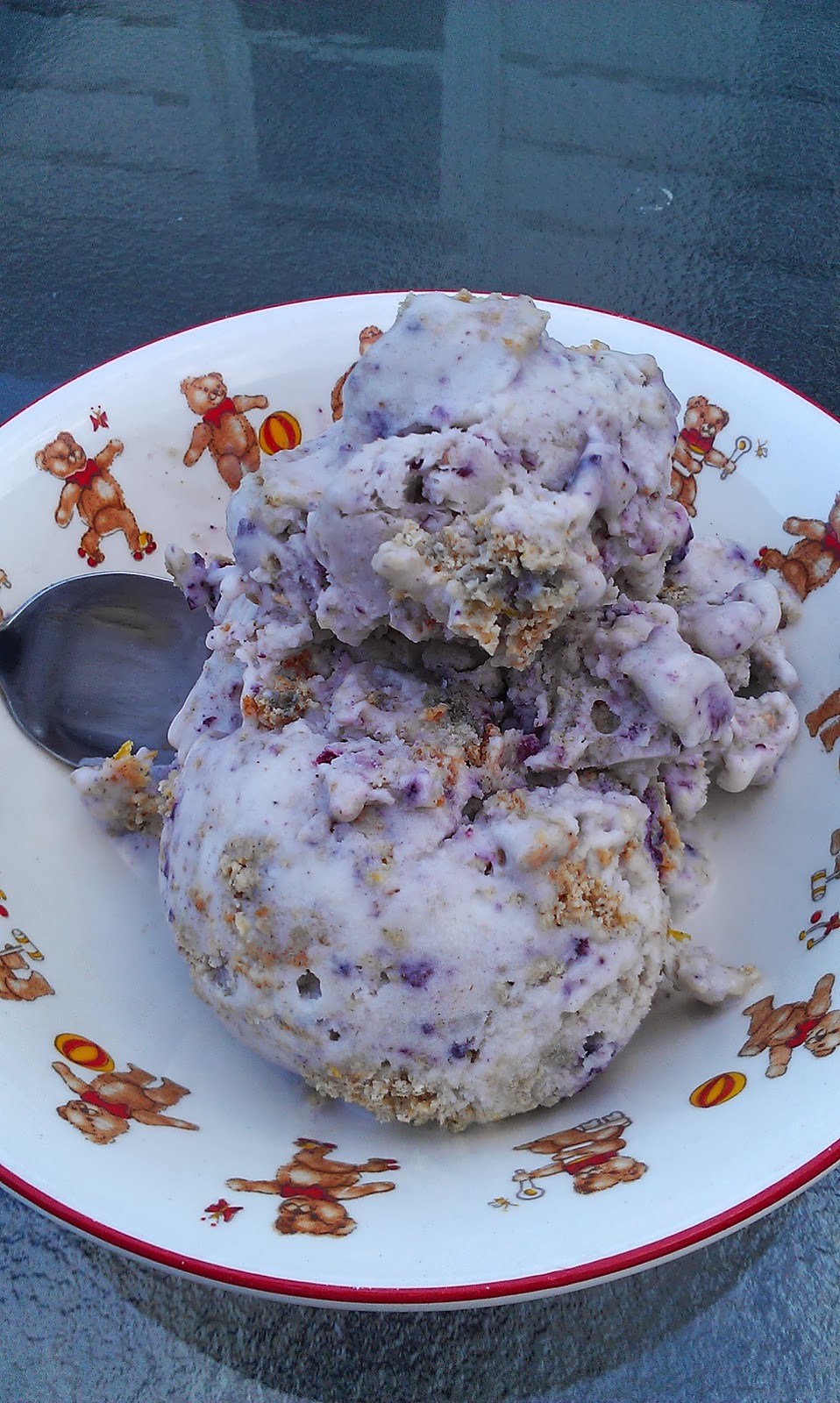 Choice Sustenance Blueberry Muffin Ice Cream